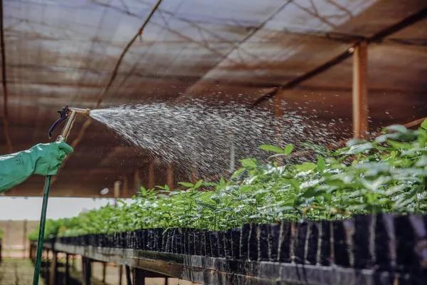Fertilizers